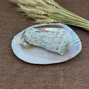 Perlmutt-Muschel mit Perlen